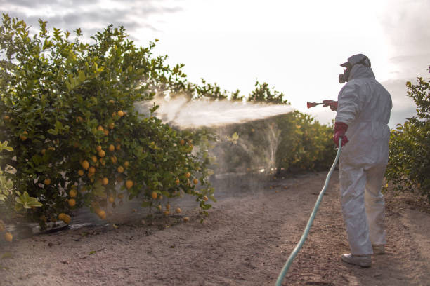 Best Pest Prevention Services  in San Leon, TX