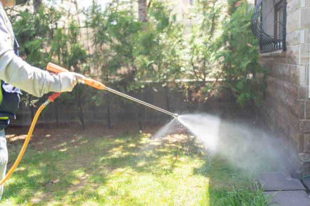 Pest Prevention Services in San Leon, TX