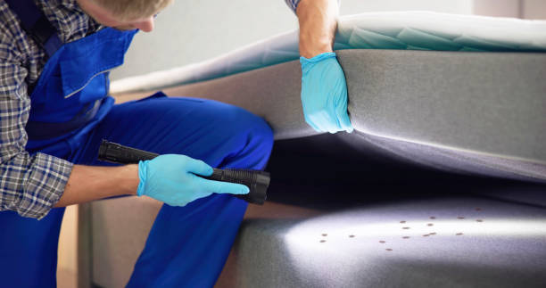 Best Bed Bug Extermination  in San Leon, TX