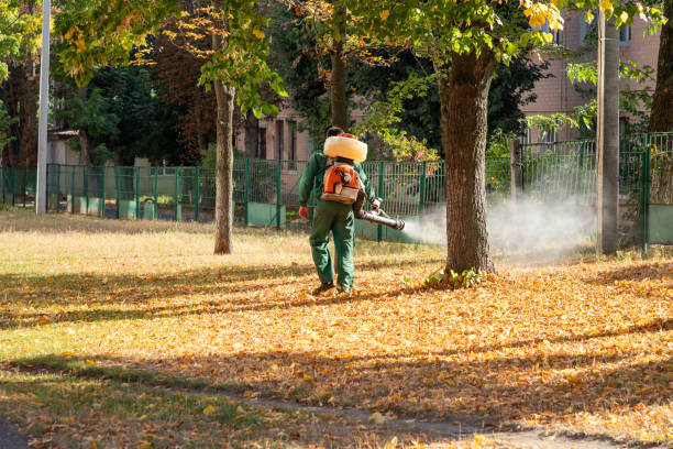 Best Pest Inspection Near Me  in San Leon, TX