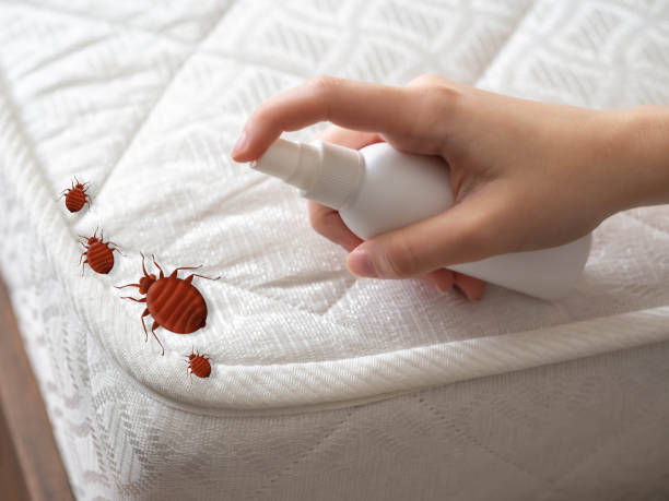 Best Best Pest Control Companies  in San Leon, TX