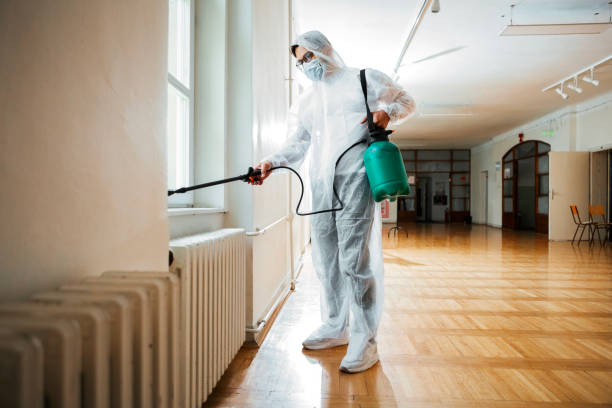 Best Mosquito Control Services  in San Leon, TX