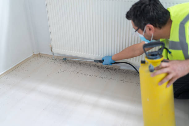 Best Affordable Pest Control Services  in San Leon, TX